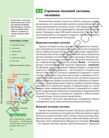 Божественная простота — Википедия